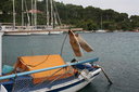 gal/cro 08/_thb_small-IMG_5364.JPG